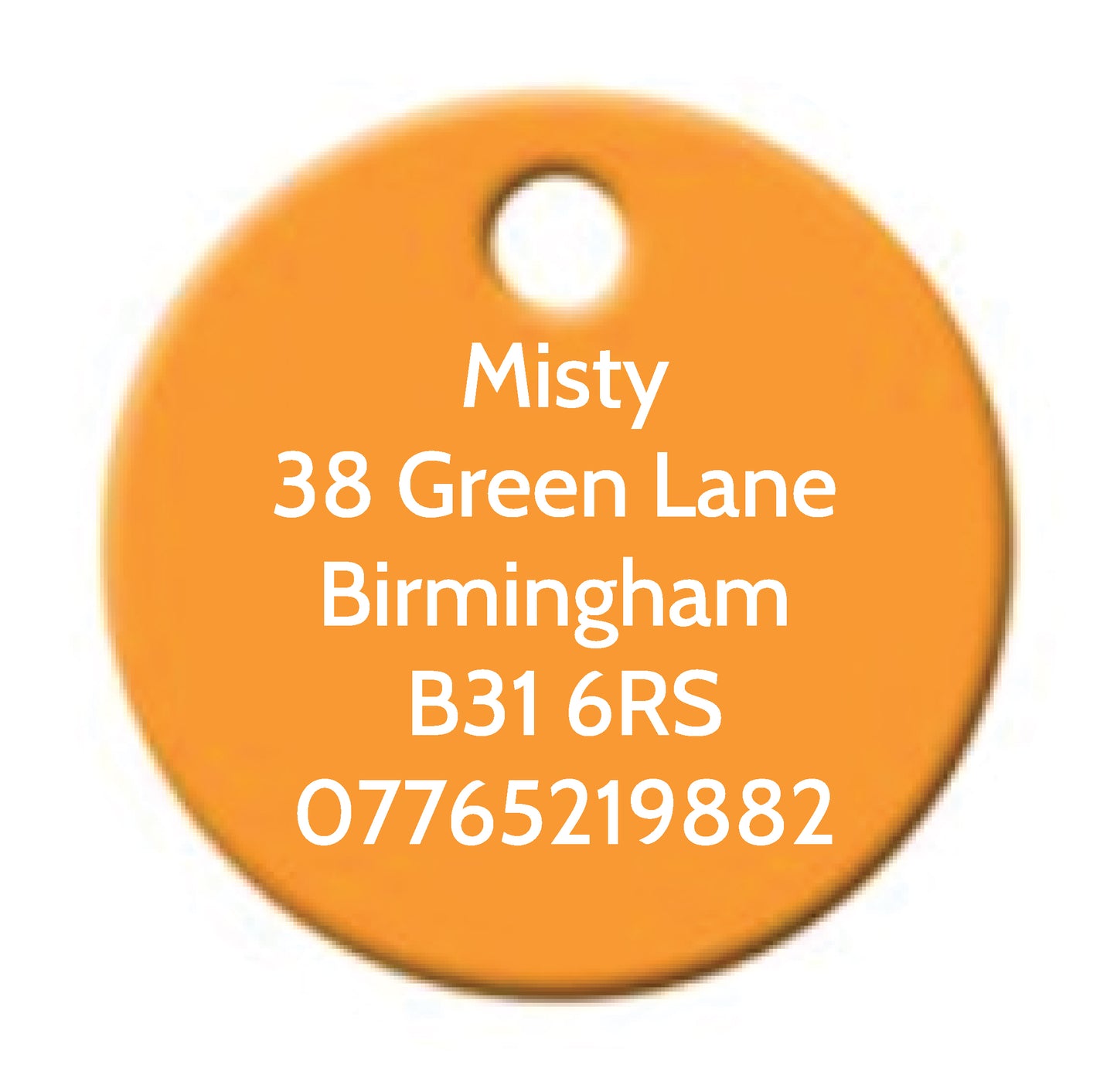 Personalised Engraved Circle Pet Tag - Circle (CC_0876)