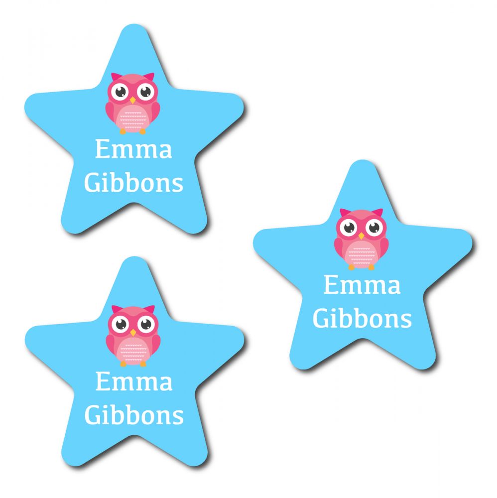 30 Star Cute Owl Name Labels