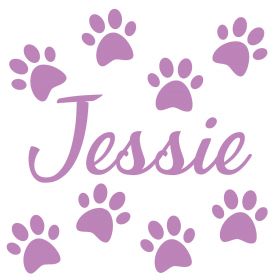 Personalised Name Wall Stickers - Cat Paws